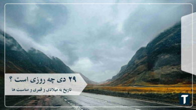 ۲۹ دی