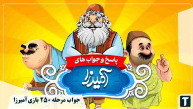 جواب ۲۵۰ آمیرزا