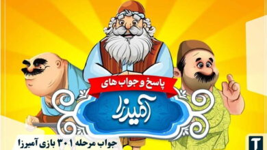 جواب ۳۰۱ آمیرزا
