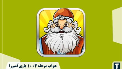جواب ۱۰۰۳ آمیرزا