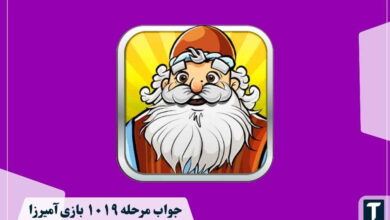 جواب ۱۰۱۹ آمیرزا
