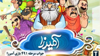 جواب ۴۹۱ آمیرزا
