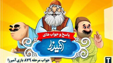 جواب ۸۷۹ آمیرزا