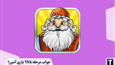 جواب ۹۷۸ آمیرزا