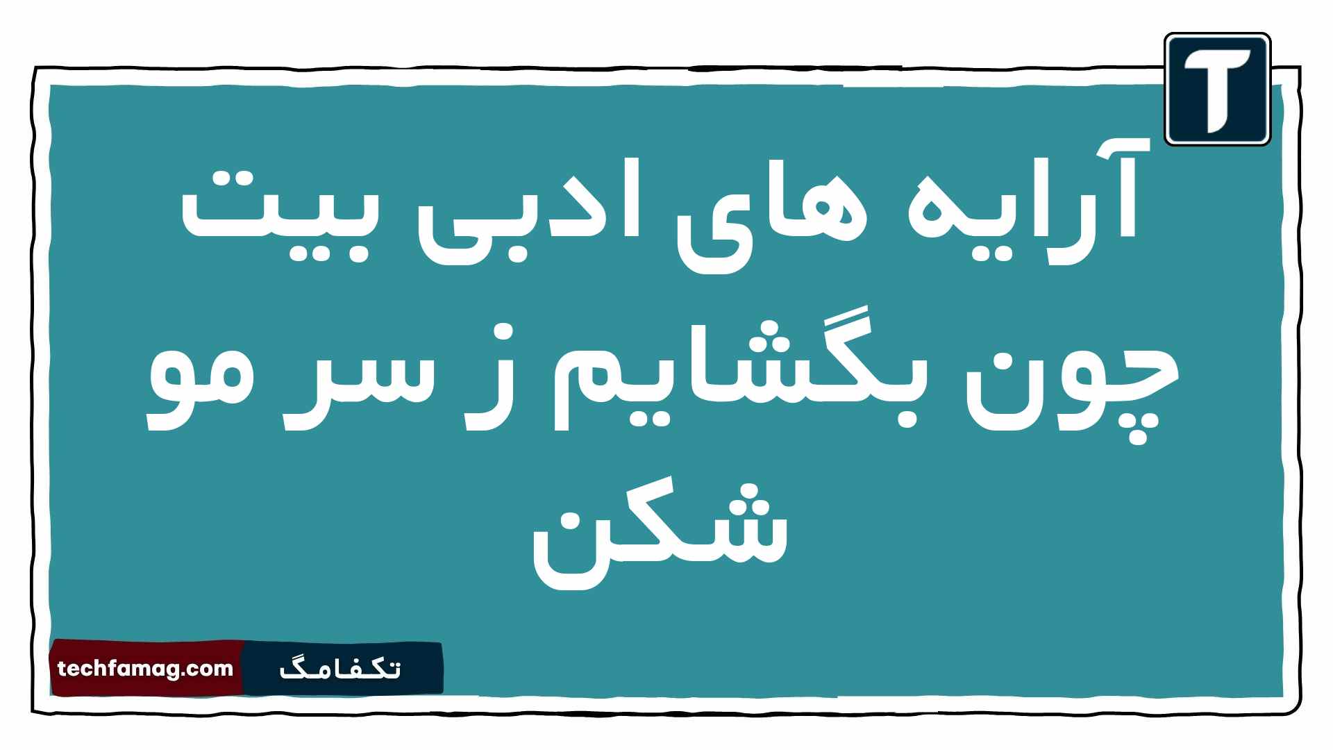 آرایه های ادبی بیت چون بگشایم ز سر مو شکن را بنویسید