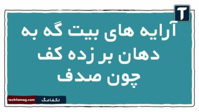 آرایه های بیت گه به دهان بر زده کف چون صدف را بنویسید