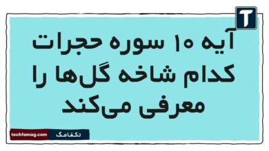 آیه ۱۰ سوره حجرات کدام شاخه گل‌ها را معرفی می‌کند هدیه پنجم