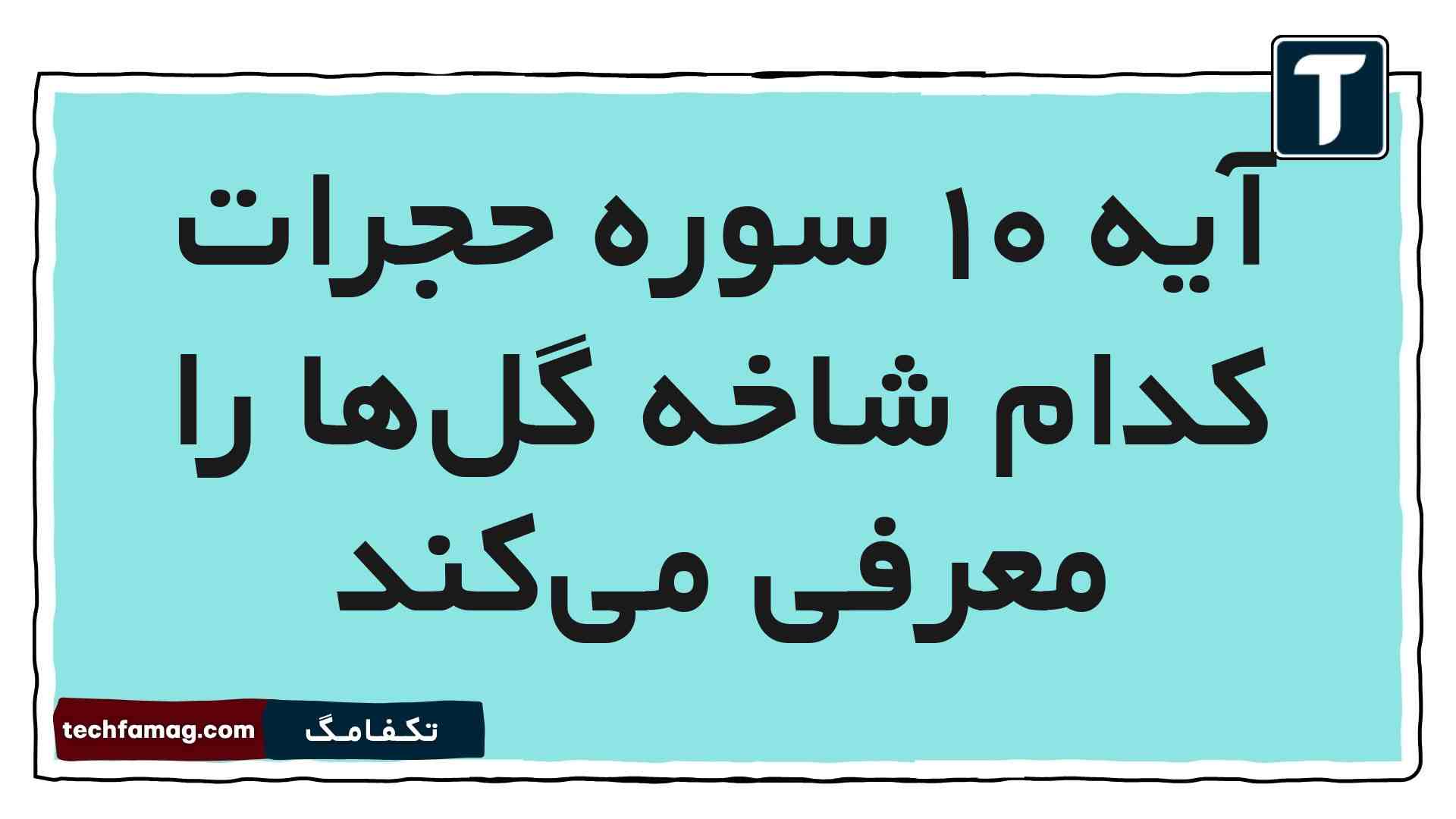 آیه ۱۰ سوره حجرات کدام شاخه گل‌ها را معرفی می‌کند هدیه پنجم