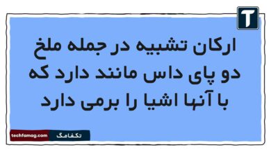 ارکان تشبیه در جمله ملخ دو پای داس مانند دارد که با آنها اشیا را برمی دارد فارسی هشتم