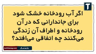 اگر آب رودخانه خشک شود برای جاندارانی که در آن رودخانه و اطراف آن زندگی می‌کنند چه اتفاقی می‌افتد