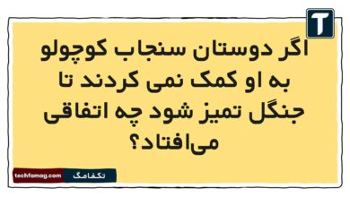 اگر دوستان سنجاب کوچولو به او کمک نمی کردند تا جنگل تمیز شود چه اتفاقی می‌افتاد