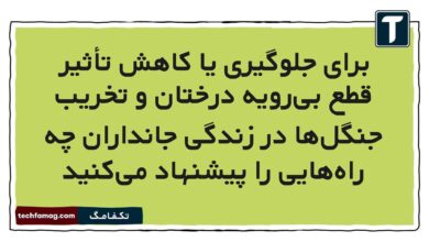 برای جلوگیری یا کاهش تأثیر قطع بی‌رویه درختان و تخریب جنگل‌ها در زندگی جانداران چه راه‌هایی را پیشنهاد می‌کنید