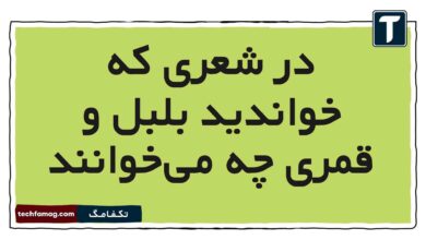 در شعری که خواندید بلبل و قمری چه می‌خوانند