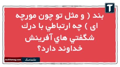 بند ( و مثل تو چون مورچه ای ) چه ارتباطي با درك شگفتي هاي آفرينش خداوند دارد فارسی نهم