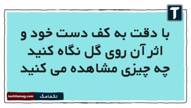 با دقت به کف دست خود و اثر آن روی گل نگاه کنید چه چیزی مشاهده می کنید علوم پنجم