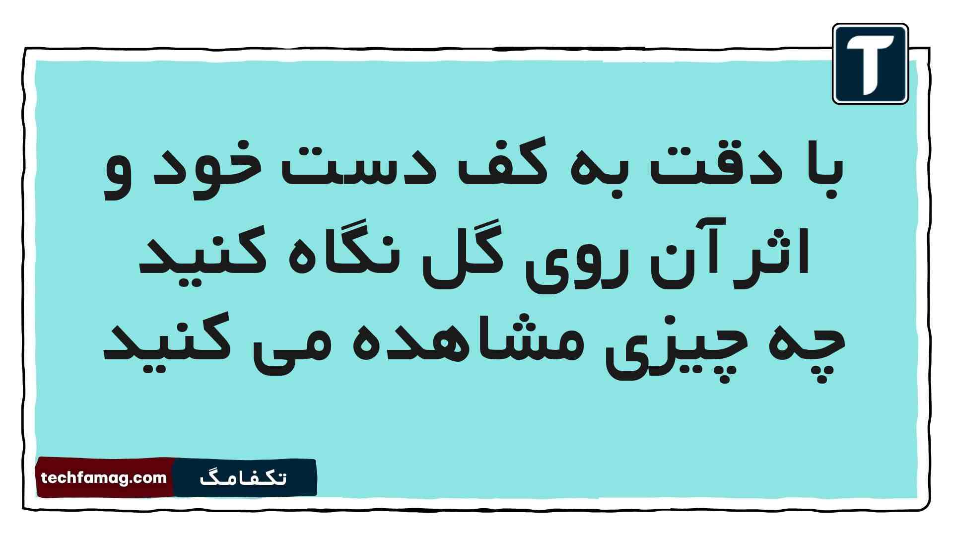 با دقت به کف دست خود و اثر آن روی گل نگاه کنید چه چیزی مشاهده می کنید علوم پنجم