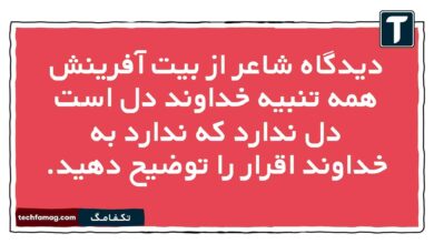 دیدگاه شاعر از بیت آفرینش همه تنبیه خداوند دل است دل ندارد که ندارد به خداوند اقرار را توضيح دهيد