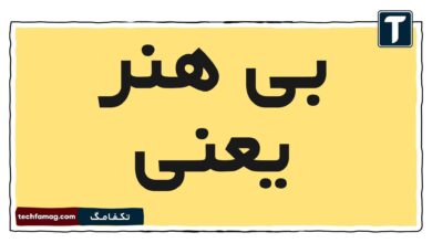 بی هنر یعنی