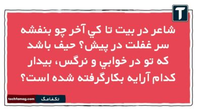 شاعر در بیت تا كي آخر چو بنفشه سر غفلت در پيش حيف باشد كه تو در خوابي و نرگس، بيدار کدام آرایه بکارگرفته شده است