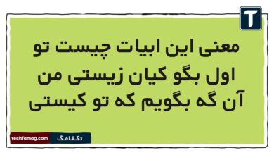 معنی این ابیات چیست تو اول بگو کیان زیستی من آن گه بگویم که تو کیستی