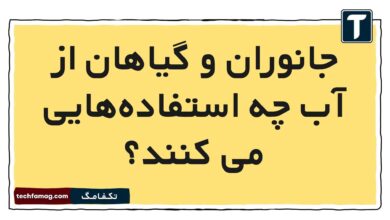 جانوران و گیاهان از آب چه استفاده‌هایی می کنند