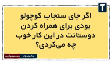 اگر جای سنجاب کوچولو بودی برای همراه کردن دوستانت در این کار خوب چه می‌کردی
