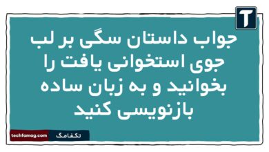جواب داستان سگی بر لب جوی استخوانی یافت را بخوانید و به زبان ساده بازنویسی کنید