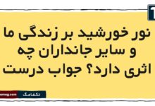 نور خورشید بر زندگی ما و سایر جانداران چه اثری دارد جواب درست