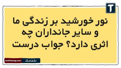 نور خورشید بر زندگی ما و سایر جانداران چه اثری دارد جواب درست