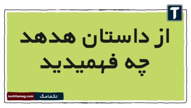 از داستان هدهد چه فهمیدید