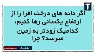 اگر دانه های درخت افرا را از ارتفاع یکسانی رها کنیم، کدامیک زودتر به زمین میرسد چرا