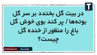 در بیت گل بخندد بر سر گل بوته‌ها / پر کند بوی خوش گل باغ را منظور از خنده‌ گل چیست فارسی پنجم