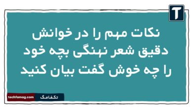 نکات مهم را در خوانش دقیق شعر نهنگی بچه خود را چه خوش گفت بیان کنید