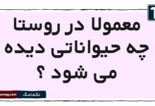 معمولا در روستا چه حیواناتی دیده می شود