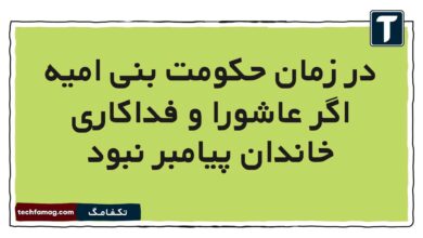 در زمان حکومت بنی امیه اگر عاشورا و فداکاری خاندان پیامبر نبود هدیه ششم