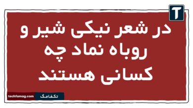 در شعر نیکی شیر و روباه نماد چه کسانی هستند فارسی یازدهم