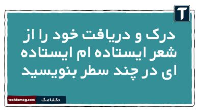 درک و دریافت خود را از شعر ایستاده ام ایستاده ای در چند سطر بنویسید