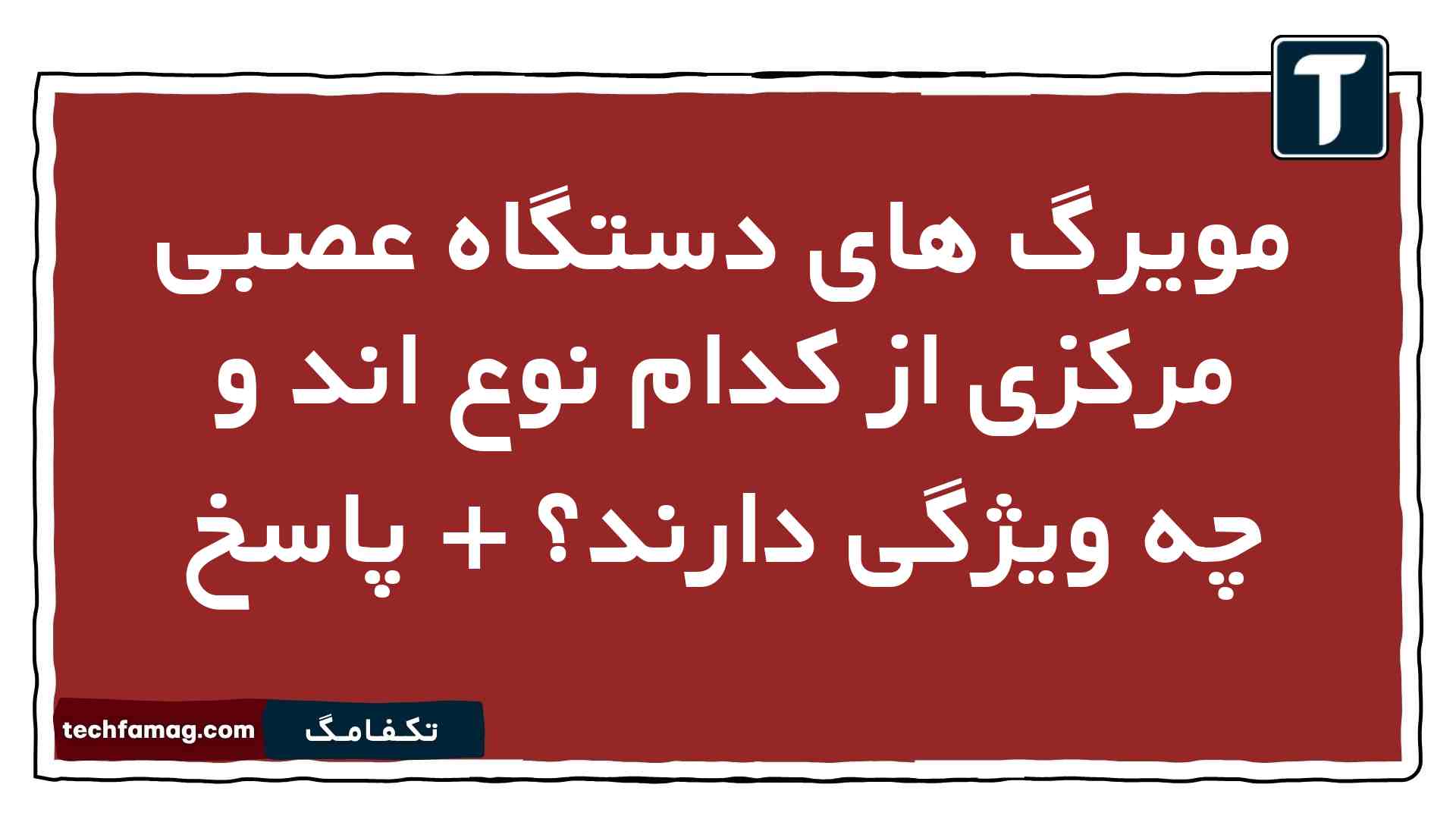 مویرگ های دستگاه عصبی مرکزی از کدام نوع اند و چه ویژگی دارند + پاسخ