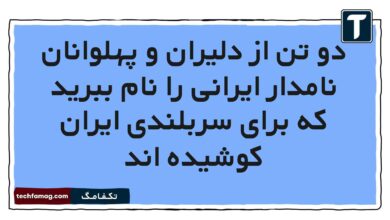 دو تن از دلیران و پهلوانان نامدار ایرانی را نام ببرید که برای سربلندی ایران کوشیده اند فارسی هشتم