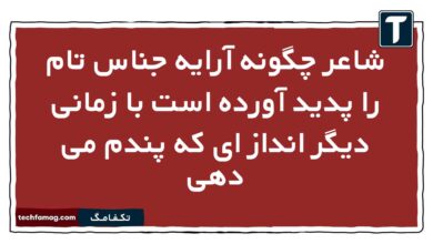 شاعر چگونه آرایه جناس تام را پدید آورده است با زمانی دیگر انداز ای که پندم می دهی