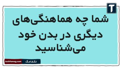 شما چه هماهنگی‌های دیگری در بدن خود می‌شناسید