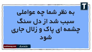 به نظر شما چه عواملی سبب شد از دل سنگ چشمه ای پاک و زلال جاری شود