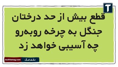 قطع بیش از‌ حد درختان جنگل به چرخه روبه‌رو چه آسیبی خواهد زد [مشاهده جواب]