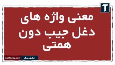 معنی واژه های دغل جیب دون همتی
