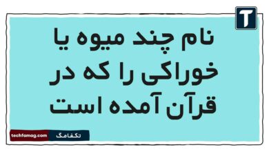 نام چند میوه یا خوراکی را که در قرآن آمده است هدیه پنجم
