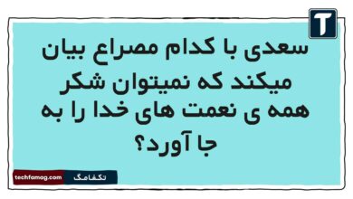 سعدی با کدام مصراع بیان میکند که نمیتوان شکر همه ی نعمت های خدا را به جا آورد فارسی پنجم