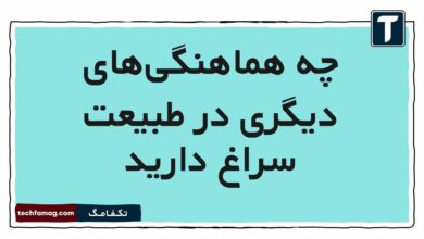 چه هماهنگی‌های دیگری در طبیعت سراغ دارید هدیه پنجم