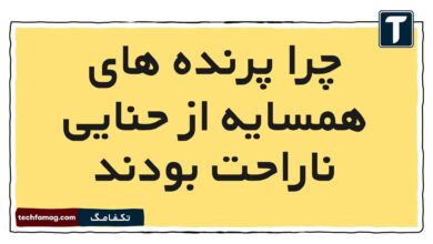 چرا پرنده های همسایه از حنایی ناراحت بودند فارسی دوم