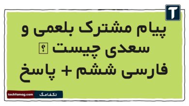 پیام مشترک بلعمی و سعدی چیست