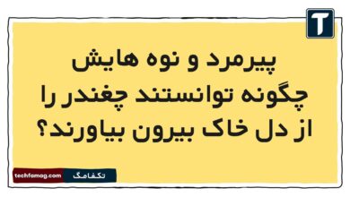 پیرمرد و نوه هایش چگونه توانستند چغندر را از دل خاک بیرون بیاورند